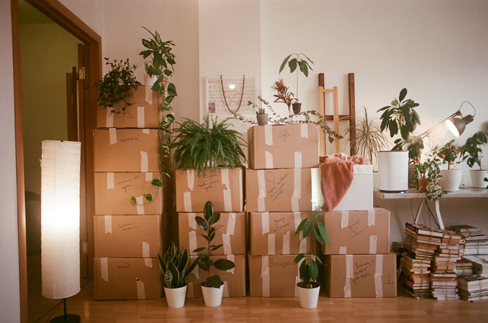 Apartment packed in moving boxes for a last-minute NYC move